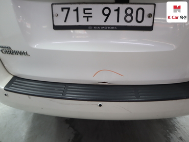 2011 - kia carnival