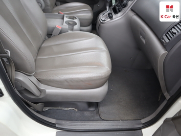 2011 - kia carnival