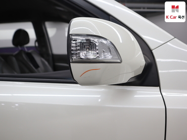 2011 - kia carnival