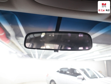 2011 - kia carnival