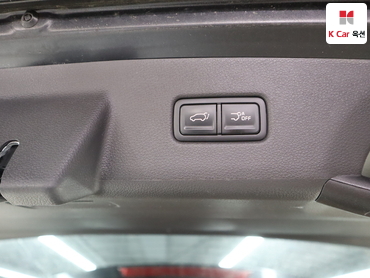 2021 - kia carnival