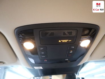 2021 - kia carnival