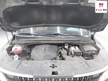 2021 - kia carnival