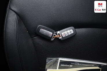 2010 - hyundai sonata