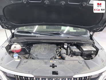 2023 - kia carnival