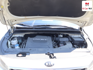 2016 - kia carnival