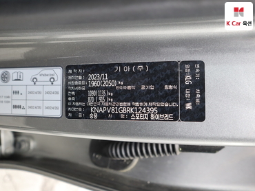 2024 - kia sportage