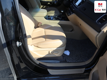 2019 - kia carnival