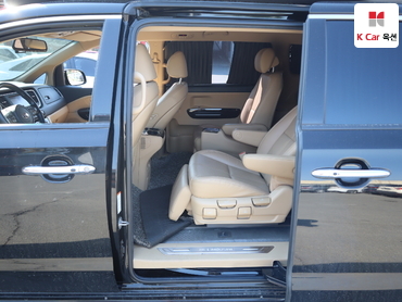 2019 - kia carnival