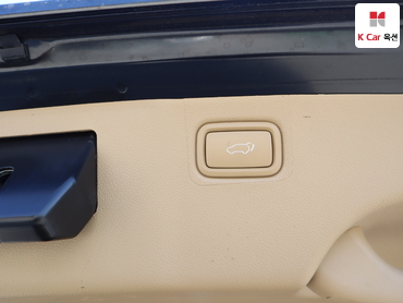 2019 - kia carnival
