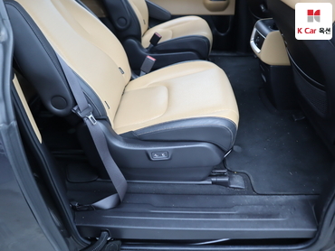 2021 - kia carnival