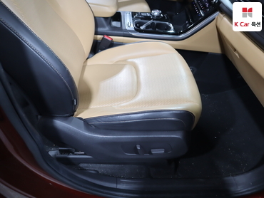 2021 - kia carnival