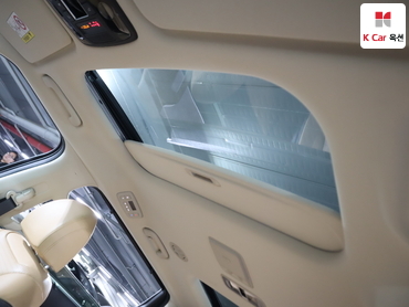 2021 - kia carnival