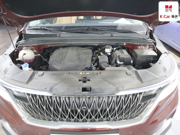 2021 - kia carnival