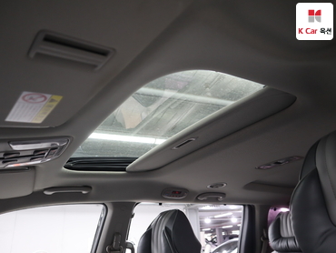2018 - kia carnival