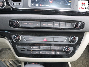 2018 - kia carnival