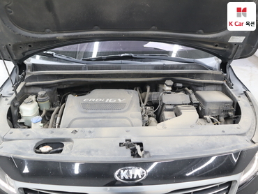 2018 - kia carnival