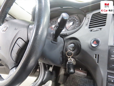 2010 - hyundai grandeur