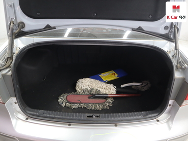 2010 - hyundai sonata