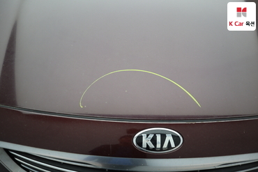 2016 - kia carnival