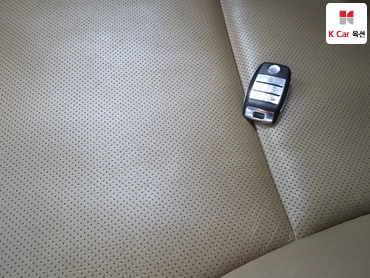 2015 - kia carnival