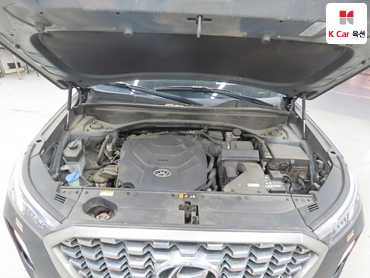 2019 - hyundai palisade