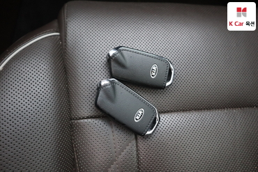 2019 - kia k9
