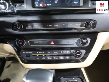 2018 - kia carnival