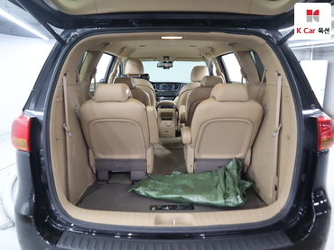 2018 - kia carnival