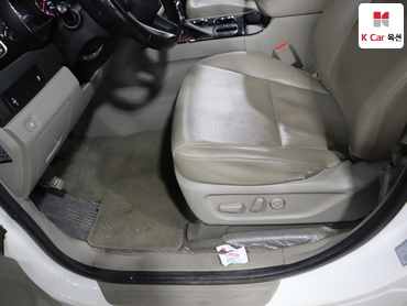 2019 - kia carnival