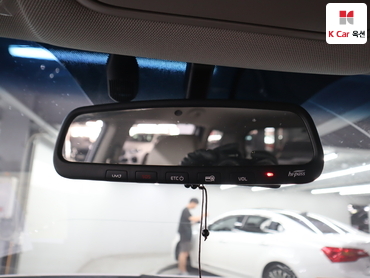 2019 - kia carnival