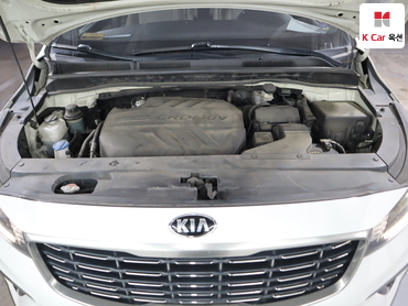 2019 - kia carnival