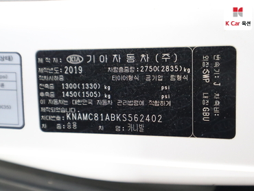 2019 - kia carnival