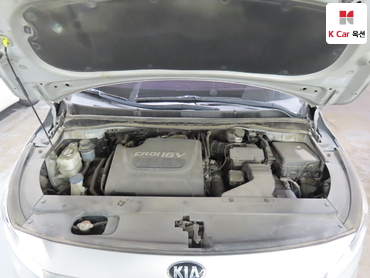 2017 - kia carnival
