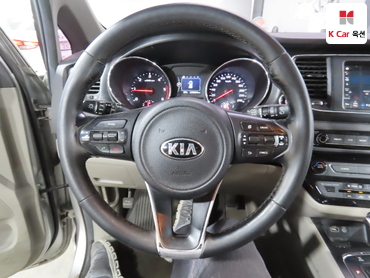 2017 - kia carnival