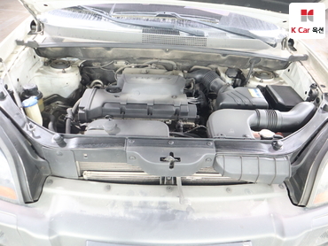 2009 - hyundai tucson