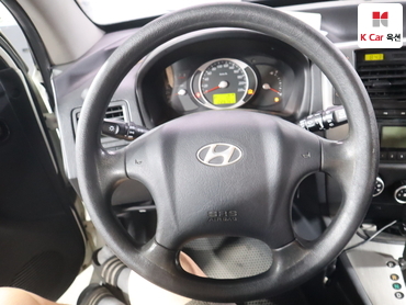 2009 - hyundai tucson