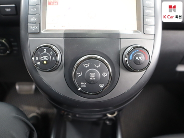 2010 - kia soul