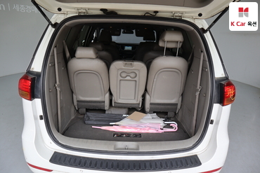 2015 - kia carnival