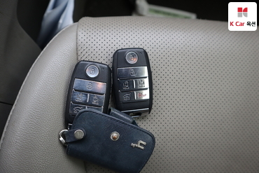 2015 - kia carnival