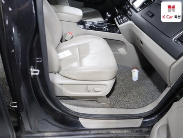 2019 - kia carnival