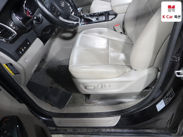 2019 - kia carnival