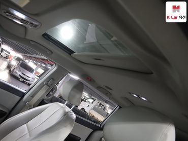 2019 - kia carnival