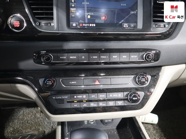 2019 - kia carnival