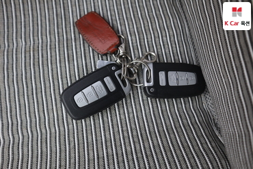 2010 - hyundai sonata