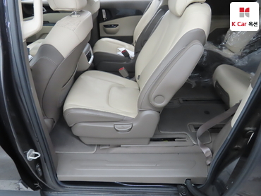 2021 - kia carnival