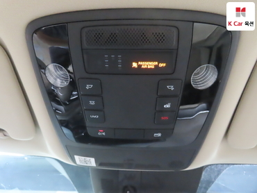 2021 - kia carnival