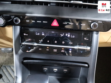 2021 - kia carnival