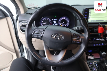2018 - hyundai kona
