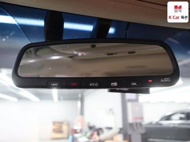 2019 - kia carnival
